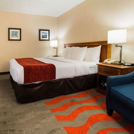 Comfort Inn & Suites Airport シラキュース エクステリア 写真